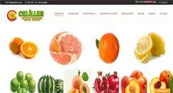 Desktop Screenshot of celiller.com